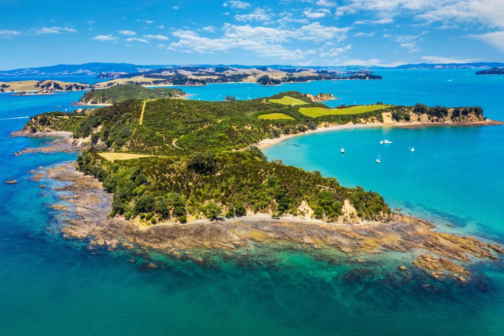 Costa salvaje de la Isla Sur con bosques y acantilados.