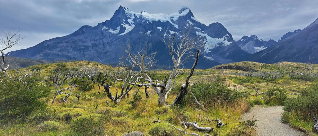 Sendero en Torres del Paine, montañas,. glaciares, lagos.