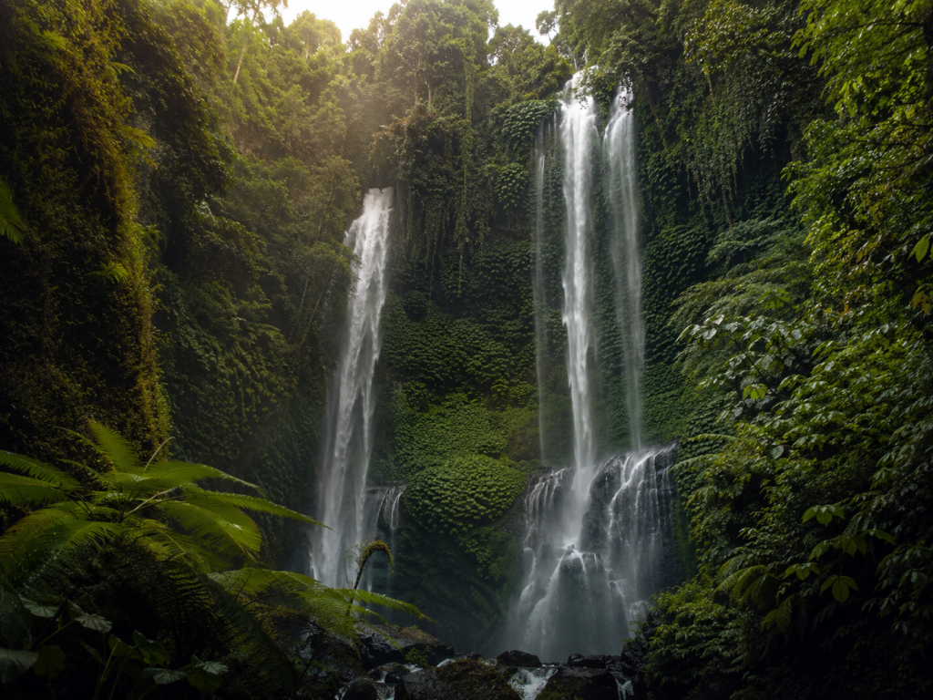 Cascadas de Sekumpul rodeadas de selva tropical en Bali.